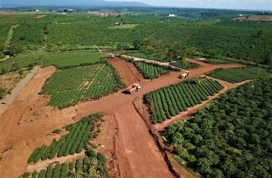Luật sư đất đai 