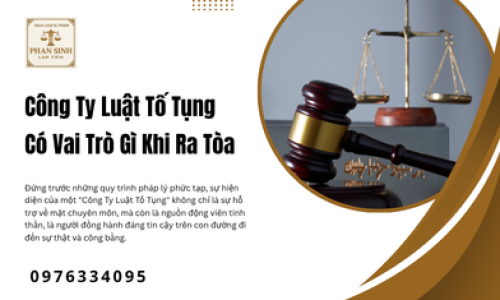 Công Ty Luật Tố Tụng Có Vai Trò Gì Khi Ra Tòa
